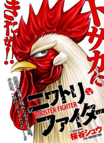rooster-fighter-001